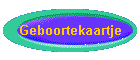 Geboortekaartje